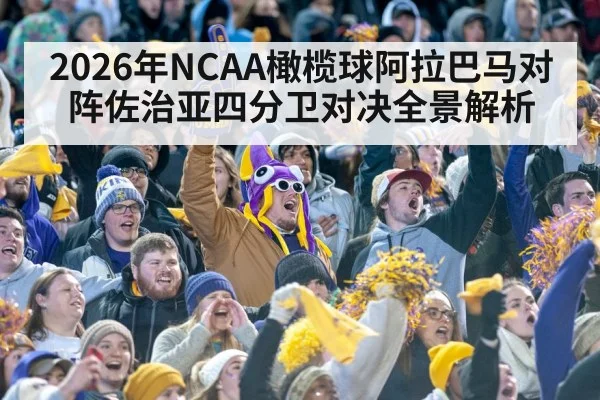 college football stadium crowd
